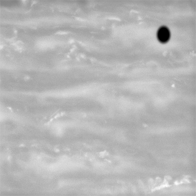 Saturn's moon Enceladus transit. Image credit JPL NASA/JPL/Space Science Institute