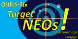 NEO Program Pin