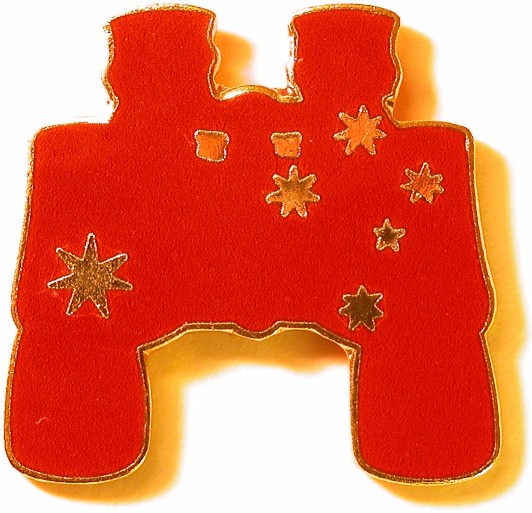 Southern Skies Binocular Program Pin