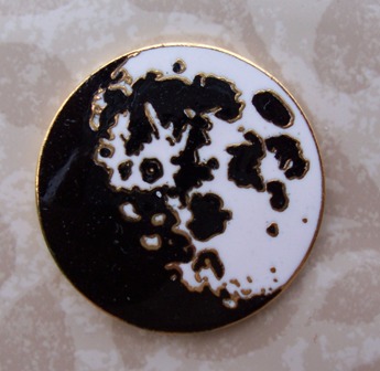 Lunar Program Pin