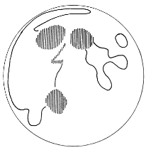 The Man in the Moon