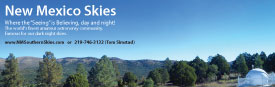 New Mexico Skies Logo