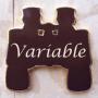 Binocular Double Star Program Pin