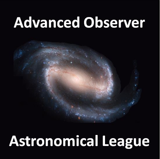 Advanced Observer Award Pin