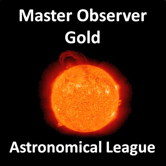 Master Observer - Gold Award Pin