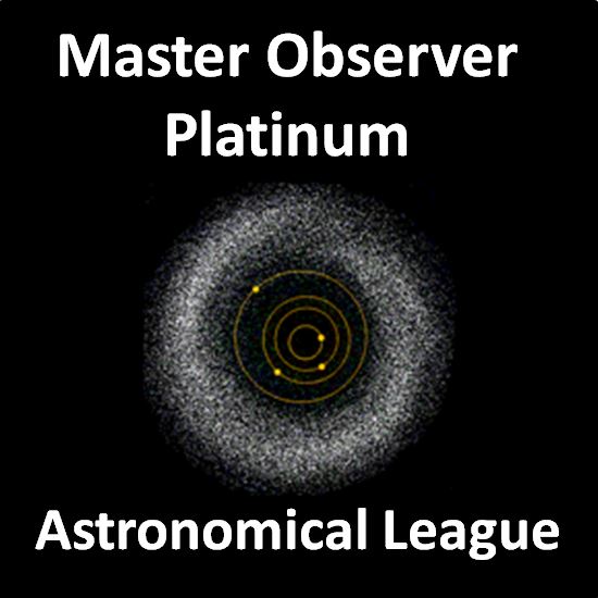 Master Observer - Platinum Award Pin