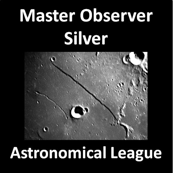 Master Observer - Silver Award Pin