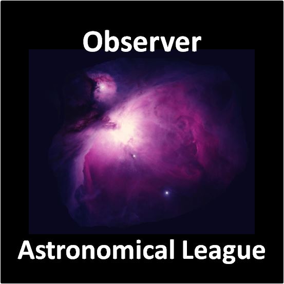 Observer Award Pin